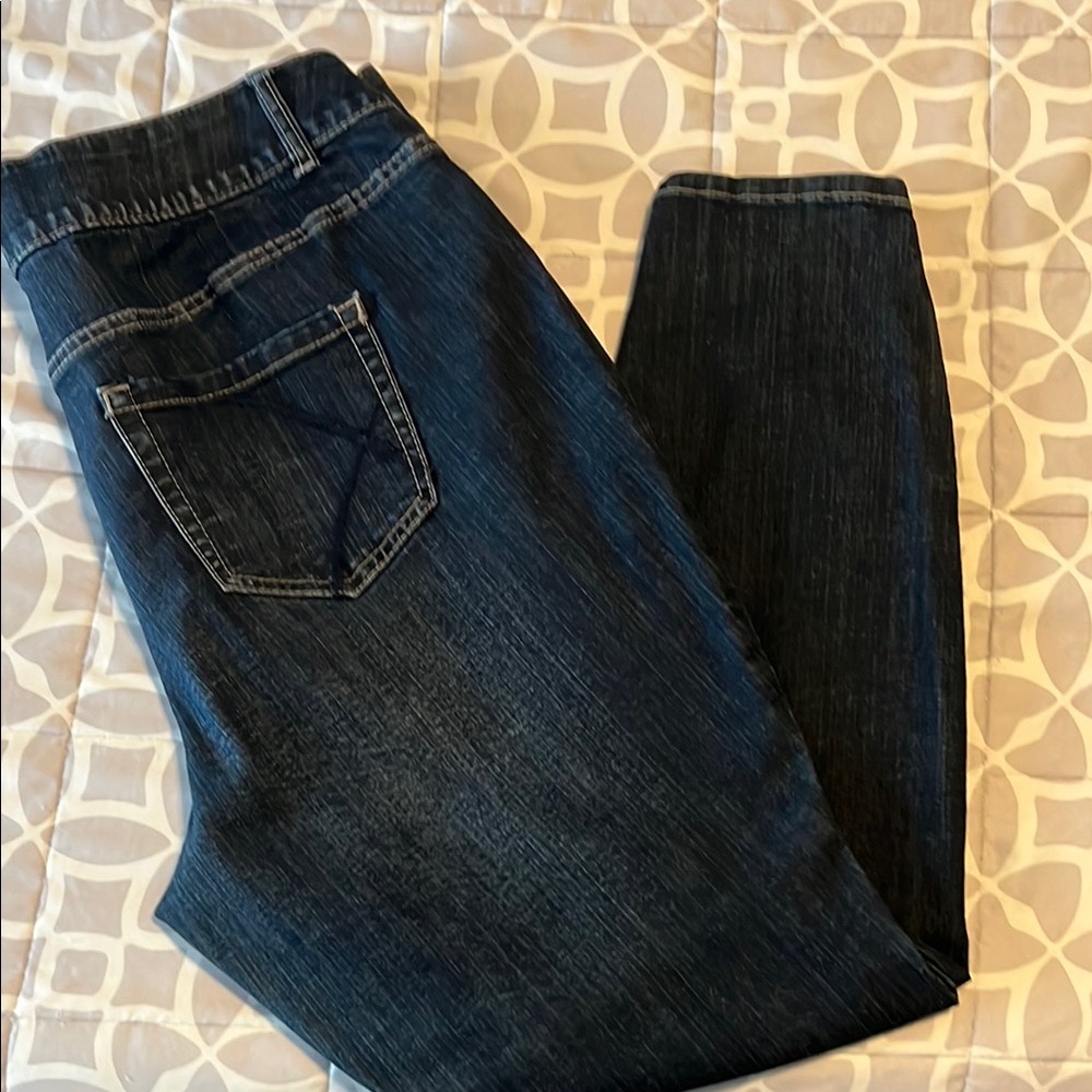 Lane Bryant Dark Blue Skinny Jeans